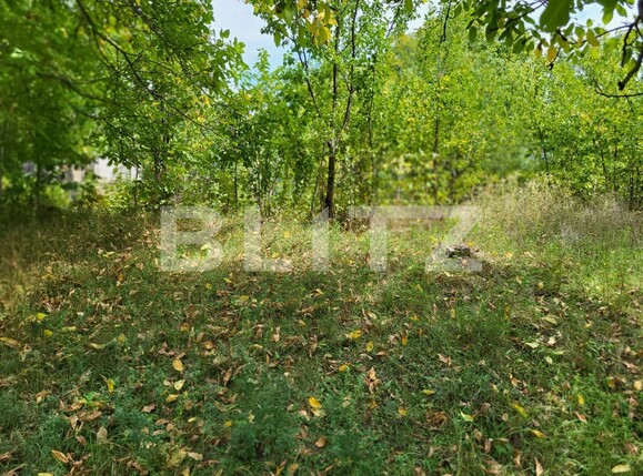 Casa de vânzare 1 camera Ciurea - 95248CV | BLITZ Iași | Poza4