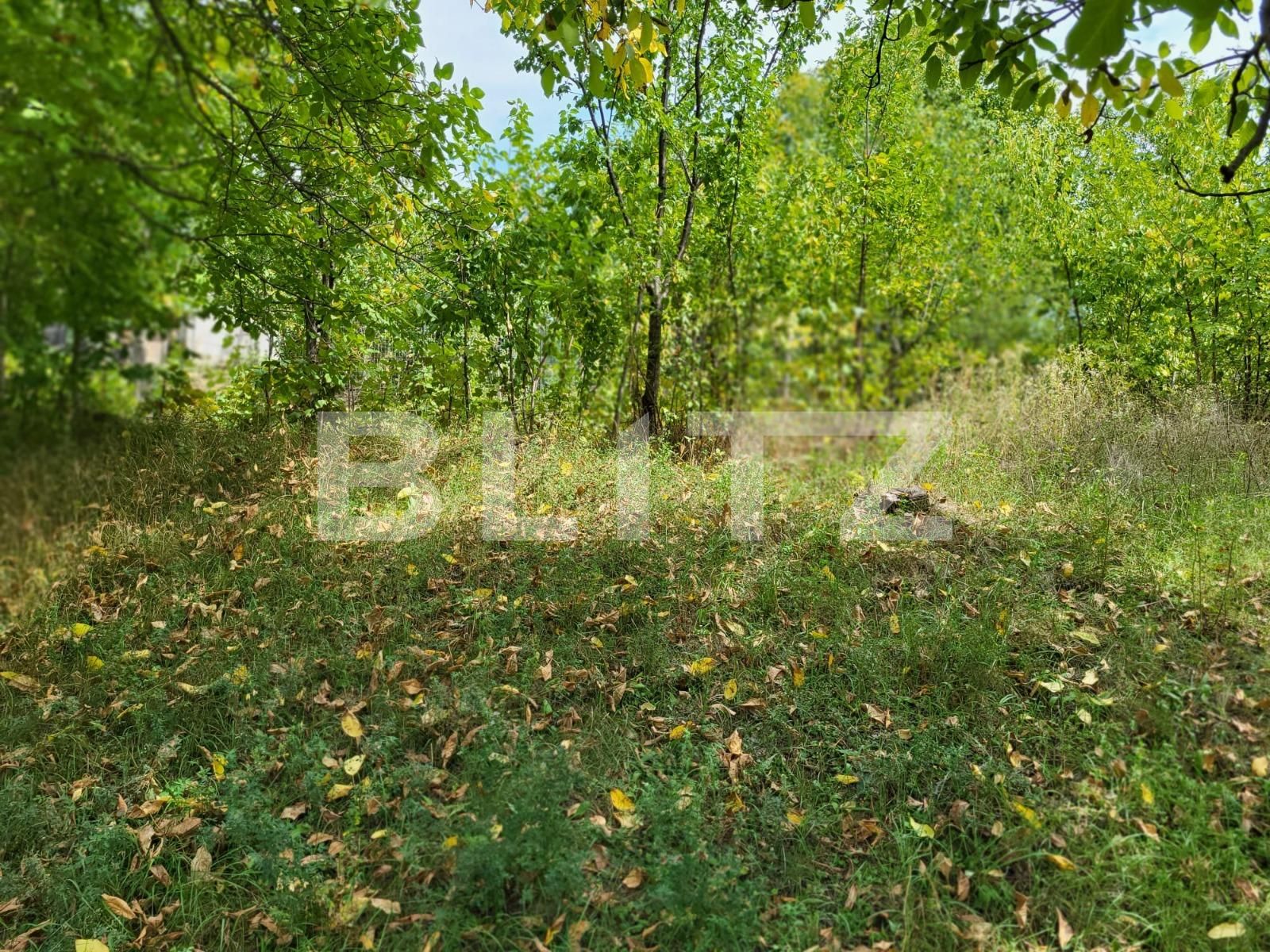 Casa de vânzare 1 camera Ciurea - 95248CV | BLITZ Iași | Poza4