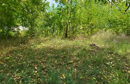 Teren intravilan, 2.632 mp, in Ciurea