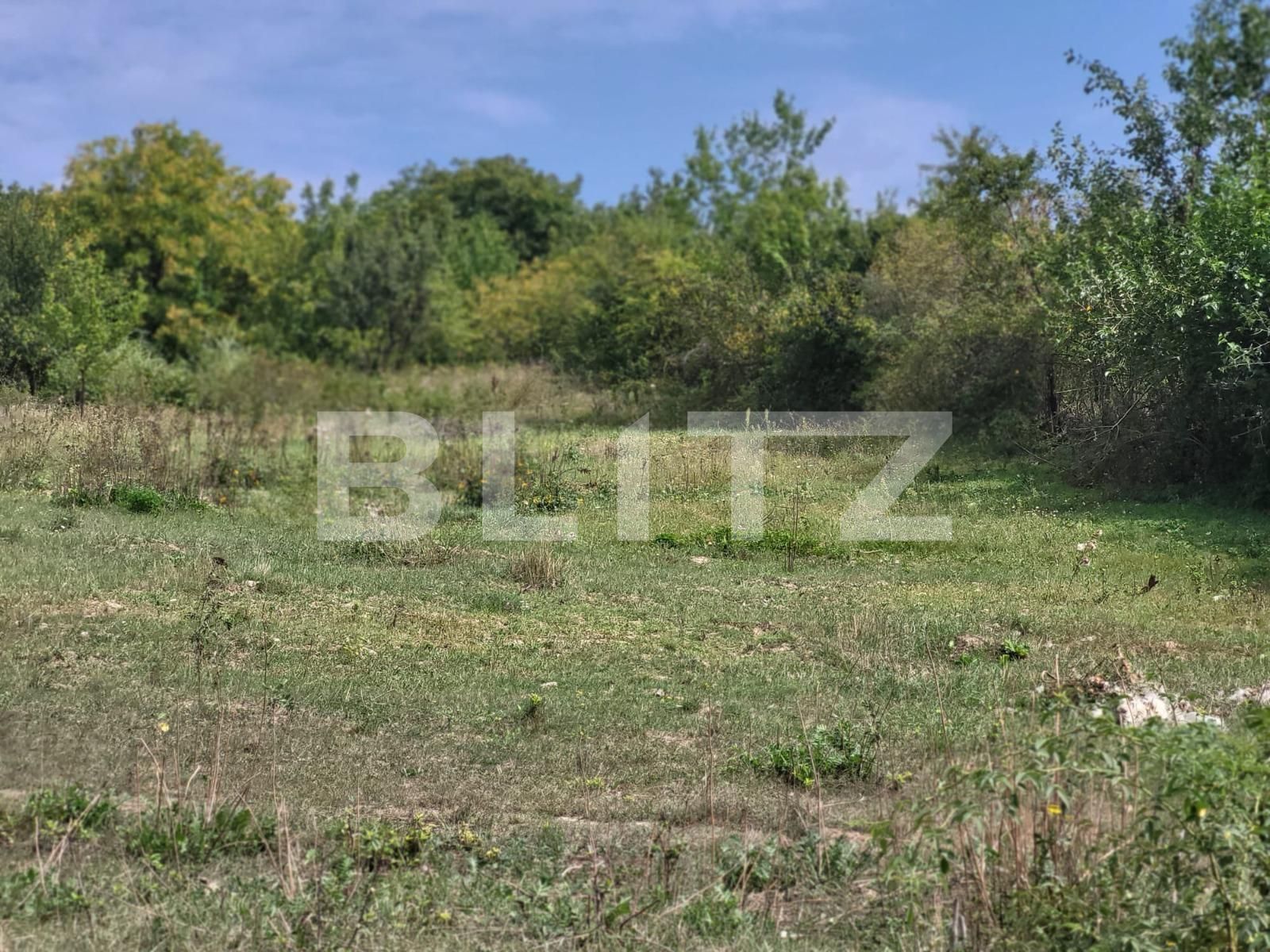 Teren de vânzare Ciurea - 95270TV | BLITZ Iași | Poza5