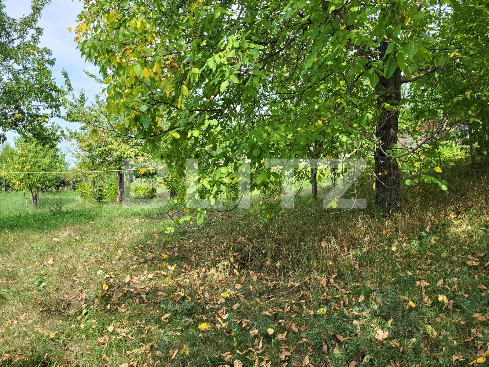 Teren de vânzare Ciurea - 95270TV | BLITZ Iași | Poza3