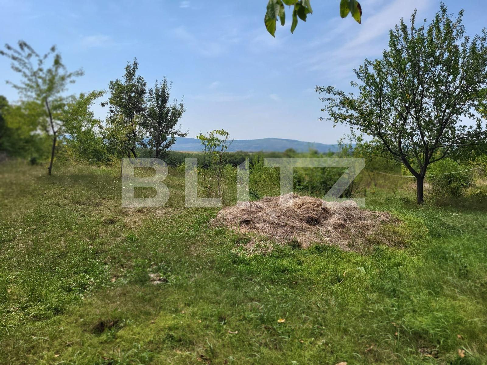 Teren de vânzare Ciurea - 95270TV | BLITZ Iași | Poza2