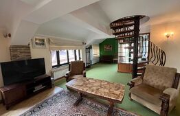 Apartament deosebit pe 2 niveluri, 3 dormitoare, parcare, zona Central