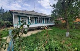 Casa batraneasca cu anexa, 1600 mp teren, Piciorul Lupului