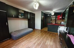 Garsoniera de 25 mp, zona Visani