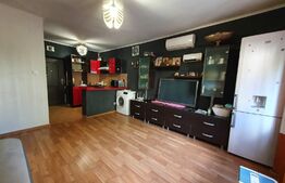 Garsoniera de 25 mp, zona Visani