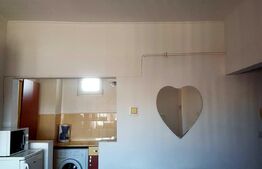 Apartament o camera, 36 mp, etaj intermediar, zona Ultracentral