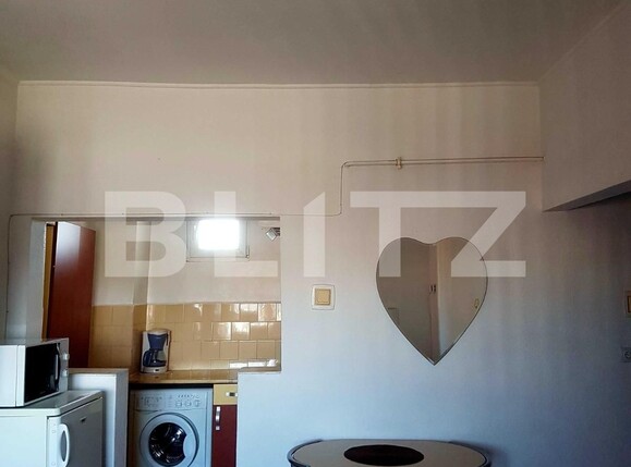 Garsonieră de închiriat Hala Centrala - 96157AI | BLITZ Iași | Poza3