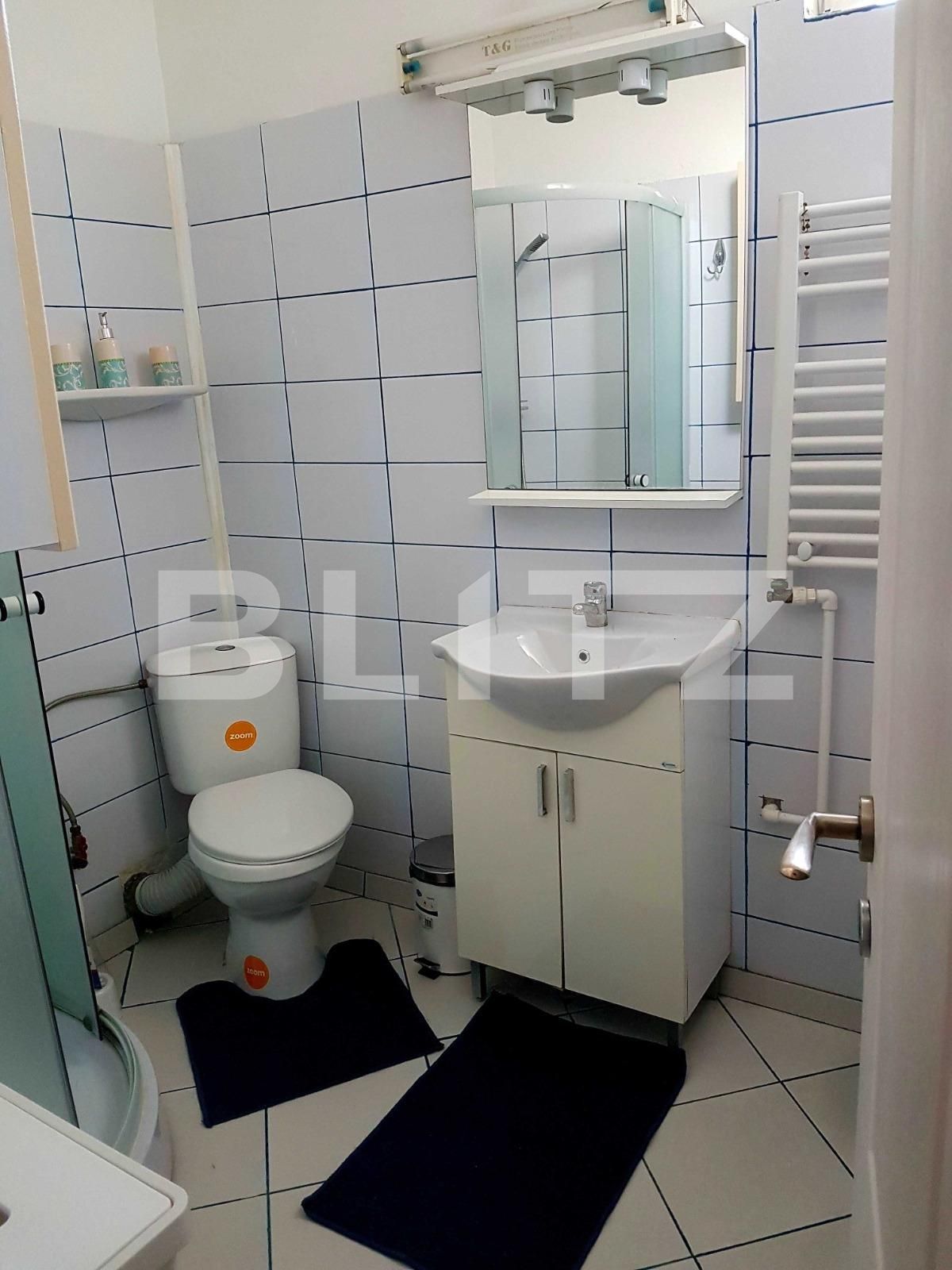 Garsonieră de închiriat Hala Centrala - 96157AI | BLITZ Iași | Poza5