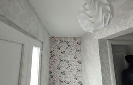 Cladire stil irlandez,300 mp utili, Letcani, la strada