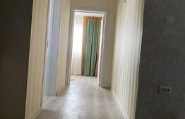 Cladire stil irlandez,300 mp utili, Letcani, la strada