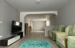 Cladire stil irlandez,300 mp utili, Letcani, la strada