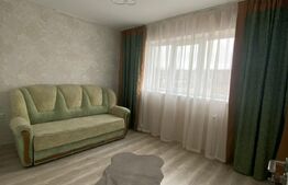 Cladire stil irlandez,300 mp utili, Letcani, la strada