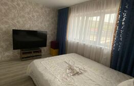 Cladire stil irlandez,300 mp utili, Letcani, la strada