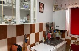 Apartament 2 camere, 48 mp, mobilat/utilat, zona Bularga