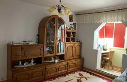 Apartament 2 camere, 48 mp, mobilat/utilat, zona Bularga