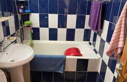 Apartament 2 camere, 48 mp, mobilat/utilat, zona Bularga