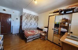 Apartament de 1 camera, 22 mp, mobilat/utilat, zona Dacia