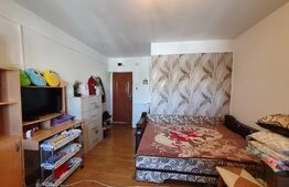 Apartament de 1 camera, 22 mp, mobilat/utilat, zona Dacia