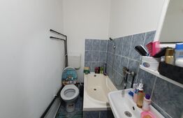 Apartament de 1 camera, 22 mp, mobilat/utilat, zona Dacia