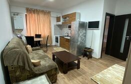 Apartament de 2 camere, 35mp, mobilat/utilat, zona Tatarasi