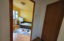 Apartament de 2 camere, 52 mp, mobilat/utilat, zona Lidl-Nicolina