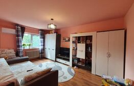 Apartament de 2 camere, 52 mp, mobilat/utilat, zona Lidl-Nicolina