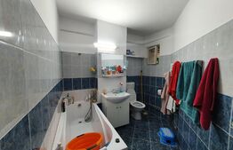 Apartament de 2 camere, 52 mp, mobilat/utilat, zona Lidl-Nicolina