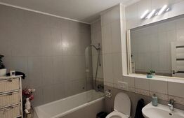 Casa tip triplex, 137 mp, teren 350 mp, Bucium, Plopii Fara Sot