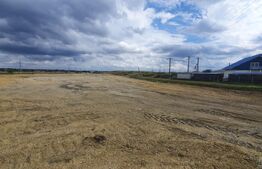 Teren intravilan 7200 mp, intrare Tomesti 