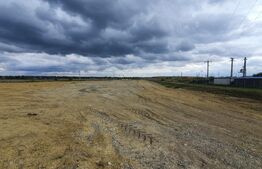 Teren intravilan 7200 mp, intrare Tomesti 