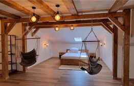 Duplex de 230 mp, teren 300 mp, terase, Manastirii Vladiceni