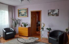 Apartament de 2 camere, 47 mp, etaj intermediar, Podu Ros-Primaverii