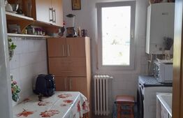 Apartament de 2 camere, 47 mp, etaj intermediar, Podu Ros-Primaverii