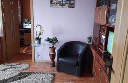 Apartament de 2 camere, 47 mp, etaj intermediar, Podu Ros-Primaverii
