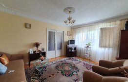 Apartament de 2 camere, 42 mp, mobilat/utilat, zona Alexandru cel Bun