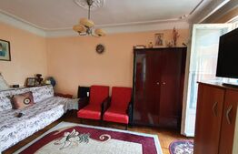 Apartament de 2 camere, 42 mp, mobilat/utilat, zona Alexandru cel Bun
