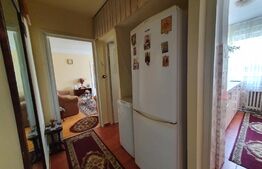 Apartament de 2 camere, 42 mp, mobilat/utilat, zona Alexandru cel Bun