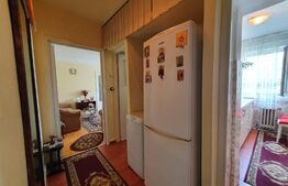 Apartament de 2 camere, 42 mp, mobilat/utilat, zona Alexandru cel Bun