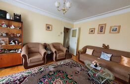 Apartament de 2 camere, 42 mp, mobilat/utilat, zona Alexandru cel Bun