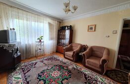 Apartament de 2 camere, 42 mp, mobilat/utilat, zona Alexandru cel Bun