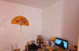 Apartament 2 camere, 57 mp, etaj intermediar, zona Pacurari