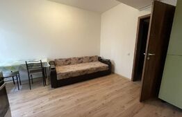 Apartament 2 camere, 40 mp, mobilat/utilat, zona Tatarasi