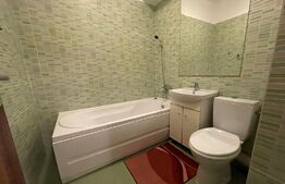 Apartament 2 camere, 40 mp, mobilat/utilat, zona Tatarasi