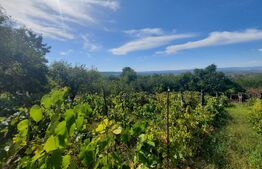 Teren intravilan de 2525 mp, front de 27.5 m, Pietraria