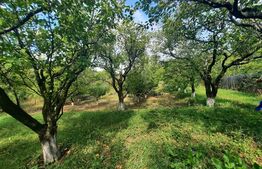 Teren intravilan de 2525 mp, front de 27.5 m, Pietraria