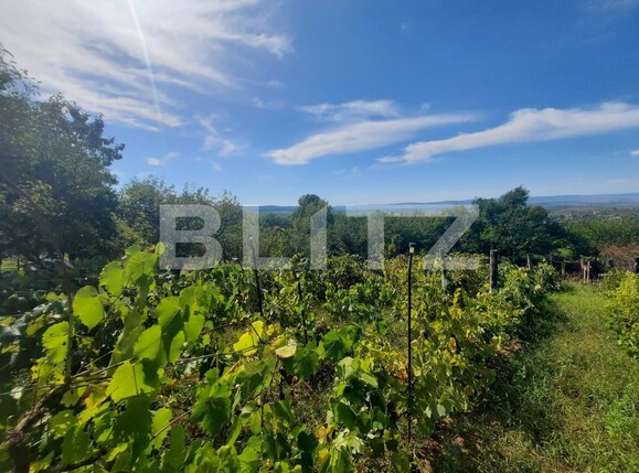 Teren de vânzare Pietrarie - 96865TV | BLITZ Iași | Poza6