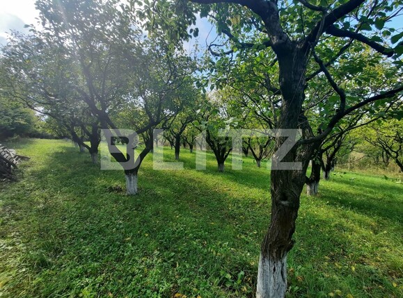 Teren de vânzare Pietrarie - 96865TV | BLITZ Iași | Poza3