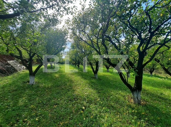 Teren de vânzare Pietrarie - 96865TV | BLITZ Iași | Poza1