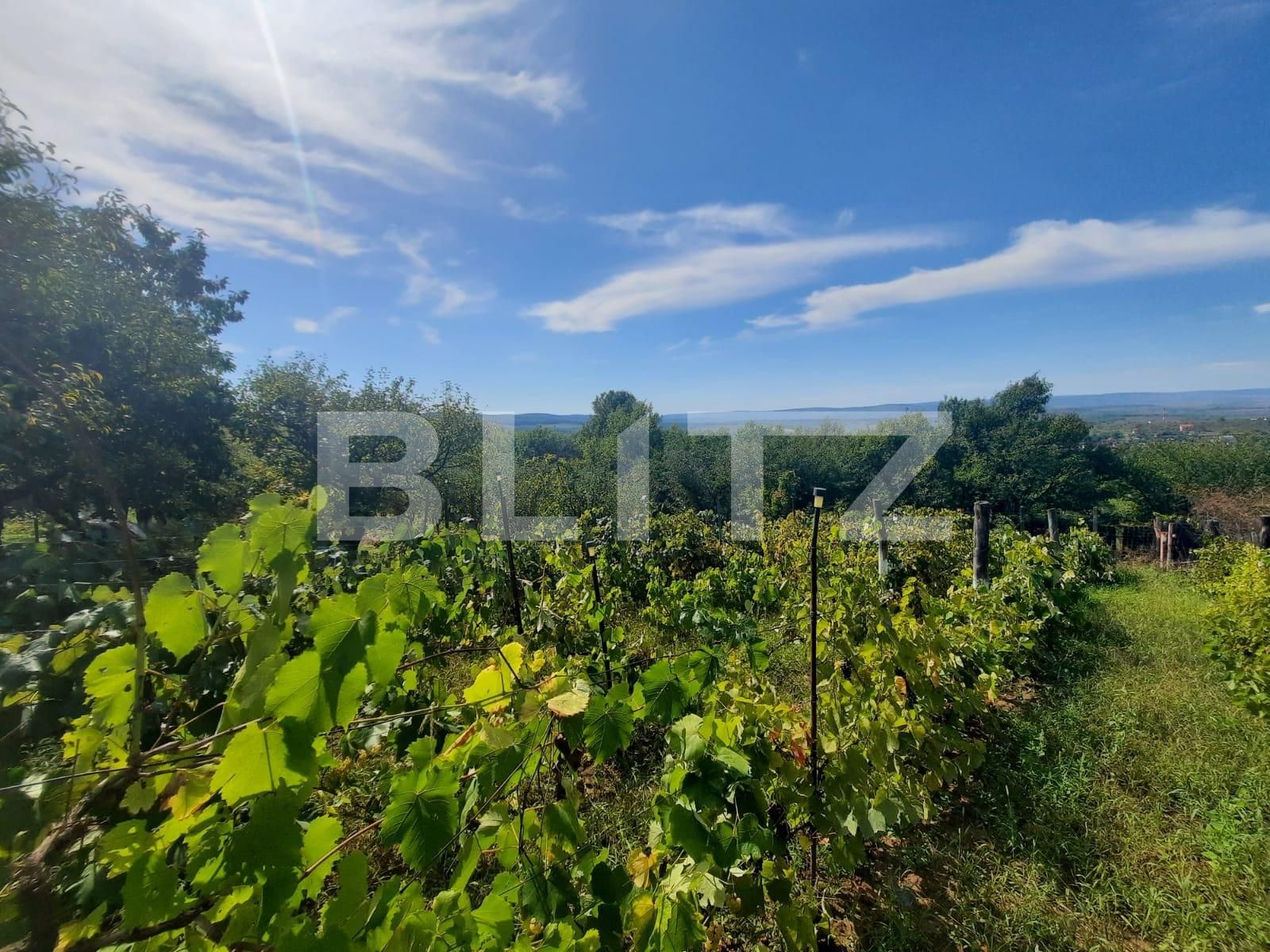 Teren de vânzare Pietrarie - 96865TV | BLITZ Iași | Poza6